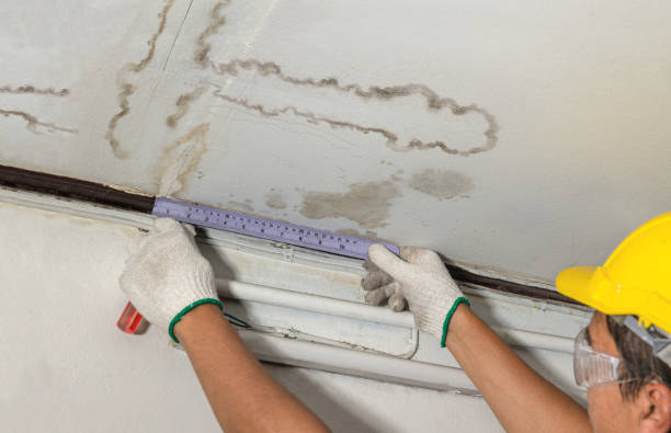 Reliable Water Damage Repair contractor in Rockville, MD by Hirex Water Damage
